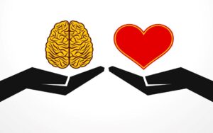 brain vs. heart