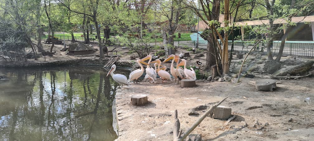 Зоологическа градина град Варна